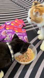 LDECO Meat Particle Cat Wet Food Pouch 85g Chicken/Beef/Fish Adult Cats 3+ Months&Older Cat Treats