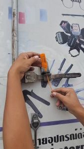 ซีลส์ล๊อค 12 นิ้ว แบบบรรทุ ซีลส์พลาสติก 2 สี แดง น้ำเงิน มี 100 ชิ้น