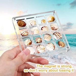 Acrylic Square Shell Storage Box Transparent Sea Shell Display Cabinet Mini Beach Stone Decorative Storage Frame Storage Case