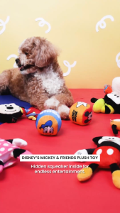 Bark & Spark Official Disney Dog Toy –  Squeaky Mickey & Friends Collection for Playtime Fun
