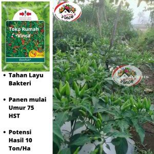 Benih Bibit Cabe Rawit Hijau BARA 350 butir dari Cap Panah Merah