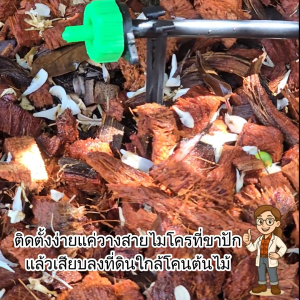 371-5 ขาปักท่อน้ำหยด ไชโย หยดตรงราก ประหยัดทุกหยด ใช้กับสายไมโครขนาด 3–7 มม.