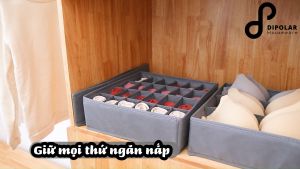 Hộp Đựng Đồ Lót Tất Vớ Chia Ngăn DIPOLAR Đa Năng Gấp Gọn Tiết Kiệm Không Gian - DHDD01