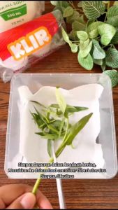 Thinwall KOTAK KLIR 1000 ml + Tutup cup dessert kue tart 1 pack isi 25 pcs anti bocor rapat ANTI PECAH / KOKOH / BENING / Kotak Makan Plastik