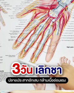 MAX COLLASMIN  PLUS แก้ปัญหาเหน็บชา ชาตามมือ ชาตามเท้า ตระคริว ปวดเกร็ง