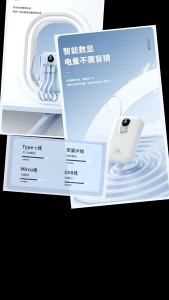 SG 2025 Certified 22.5W Power Bank 10000mAh/20000mAh Super Fast Charging Powerbank Comes With 4 Wires Mini Travel Powerbank