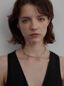 Fashionable Minimalist Design Sensation Hide Aki Necklace Clavicle Chain Luxury Feeling Personality Jewelry Accessory for Women