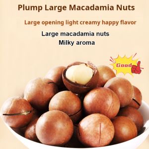Macadamia Nut Creamy Flavor Snacks Large Grain Year Round Hawaiian Nut Creamy Flavor Nuts