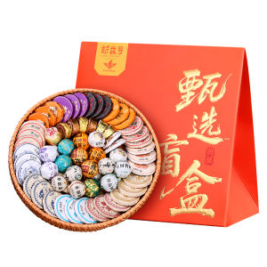 XINYIHAO | Aged Raw and Cooked Pu-erh Tea Gift