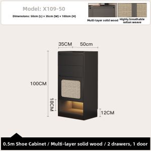 New Rattan Large Capacity Shoe Cabinet