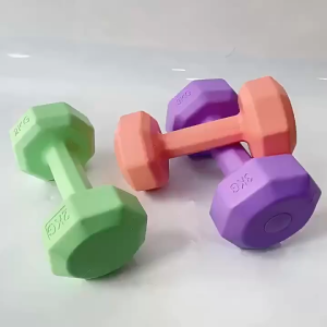 2KG Colorful Dumbbells for Women Home Gym Strength Training Arm Workout Fitness Hand Weights Senaman Rumah Kit