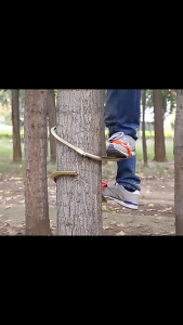 Wooden Pole Foot Buckle / Thickened Tree Climbing  Iron Shoe / Galah Cat Claw Pokok