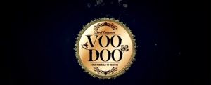 VOODOO PREMIUM ครีมบำรุงผิวหน้า สำหรับผิวแพ้ง่าย ต่อต้านริ้วรอย ผิวหน้ายกกระชับเต่งตึง