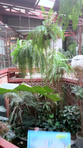 Sách tranh - 24 giờ trong sở thú - Đinh Tị