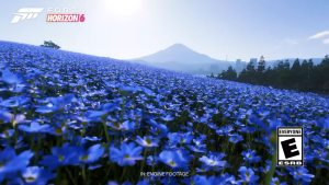 Forza Horizon 6 PC GAME Offline [Pendrive INSTALLATION]