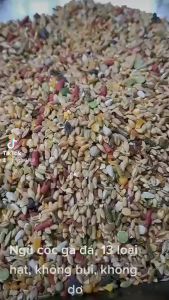 Ngũ cốc gà đá gà nòi thức ăn gà nòi gà che túi loại 1kg giúp tăng cơ tăng bo nhanh cho gà túi 1kg