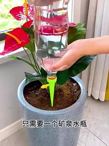 Peranti penyiraman automatik Auto Plant Self Watering Device Adjustable Speed Dripping Device 自动浇花器