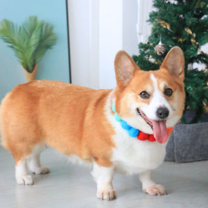 Adorable Pet Dog Neck Collar Scarf Decorative Necklace Cute Kirk Teddy Cat Supplies Universal Use Pet Travel Gear