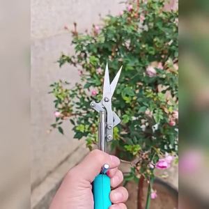 New Professional Garden Picking Flower Pruning And Pruning Stainless Steel Sharp Scissors