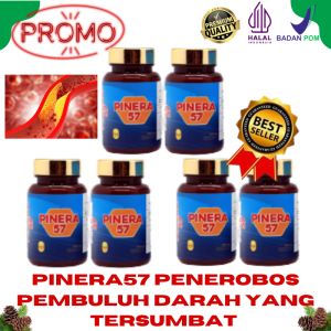 Pinera57 Pinus Merah Korea Red Pine Obat Stroke Kolesterol Diabet Herbal Obat Asam Urat Diabetes