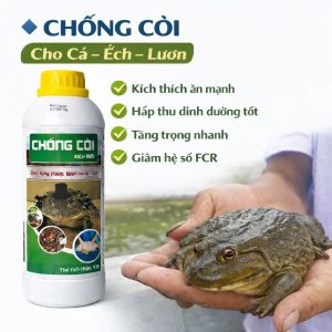 Chống Còi Cá – Ếch – Lươn | Tăng Trọng Nhanh Kích Ăn Mạnh Giảm Hao Hụt Chắc Thịt - Chai 1 Lít