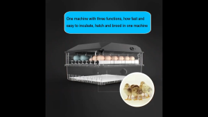 SIEMEN Large capacity dual power automatic incubator with constant temperature