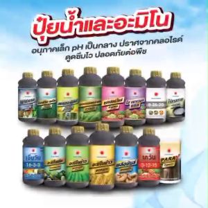 ปุ๋ยน้ำ สตรอง ฟิลด์ ซิลิกอน SiO 1L (ดวงตะวันเพชร)