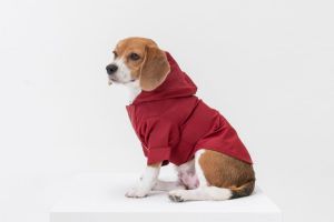 Fashionable Dog Raincoat by Pehom Waterproof Thunderstorm Protector Suitable for All Body Types Pet Cats and Dogs
