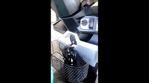 Honda Vario 150 Vario125 Bakul Besi Basket Besi Vario Raga Heavy Duty (High Quality)