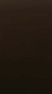 Onefashionmall Kotak Kado Ultah Gift Kardus Karton Die Cut Aksesoris Box Birthday Model Pizza