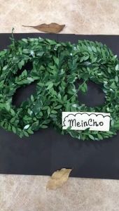 KAWAT DAUN Pita & Tiara Mahkota Rustik: Dekorasi Bunga Tali Daun