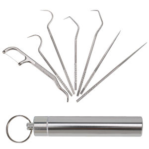 7pcs Stainless steel toothpick set reusable toothpick dental floss plaque removal tool portable teeth cleaning tool