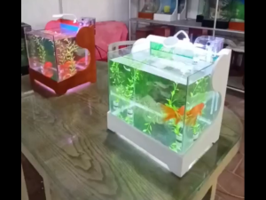 Bể cá mini để bàn bao khung gỗ tự nhiên chác chắn 35x26x35cm