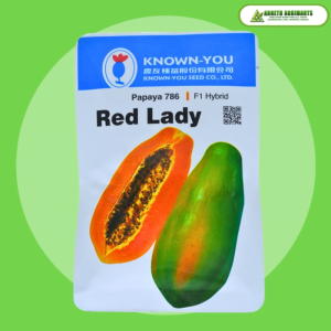 KNOWN YOU SEEDS RED LADY VARIETY PAPAYA SEEDS 5grams (360++ seeds)