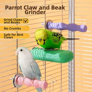 Claws and Beak Filing Bird Stand