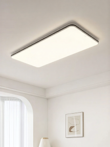 Panasonic | Dust-Proof Insect-Proof Full Spectrum Eye Protection LED Ceiling Light