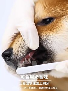 BABYPET KOJIMA แปรงสีฟัน ทำความสะอาดช่องปาก สัตว์เลี้่ยง สุนัข แมว ยาสีฟันกินได้ ขนแปรงกินได้แปรงสีฟัน