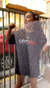 1M/2M/5M Garden Protection Net height Easy Installation Plastic Mesh Balcony Stair Fence Protective