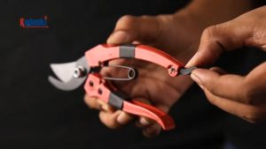 PISAU GUNTING PRUNINGSEAR PRUNINGSHEAR PRUNINGSHEARS PRUNING SHEARS SHEAR SEAR SCISSOR ALAT PENGGUNTING PEMOTONG POTONG PANGKAS PEMANGKAS DAHAN RANTING POHON BUNGA DAUN BONSAI KEBUN TANAMAN BUAH TAMAN TAJAM KUAT HEAVY DUTY MURAH ORIGINAL