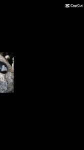 Adda แอ๊ดด้า  รองเท้าแตะพียูชาย ยี่ห้อ Adda รุ่น 7J05 (35-45) ส่งทุกวัน