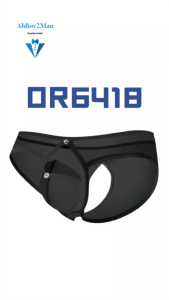 Mens Brief: Nylon Sheer Brief with Removable Pouch and Rear Mid Split Opening (OR6418)