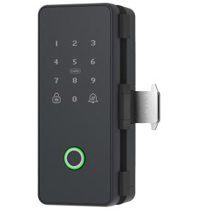 eLinkSmart | Fingerprint Access Control Smart Lock for Double-Sliding Glass Door