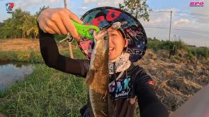 กบยาง LURE CNX Billy ขนาด 3.5 เซน น้ำหนัก 7 กรัม ตัวเบ็ด # 1 ใบหลิวดอกจอก 2 แอคชั่น