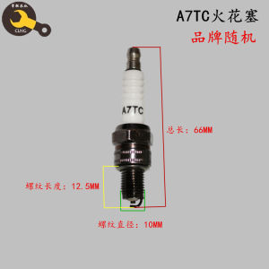 Gasoline Engine Parts Generator Micro-Tiller Spark Plug 170F Motor Polishing Machine Water Pump Power Generation Set Components