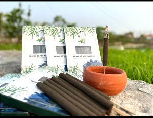 Combo 10 hộp Nhang Bồ Kết Xông Nhà Xua Đuổi Côn Trùng Tà Khí Khí Uế