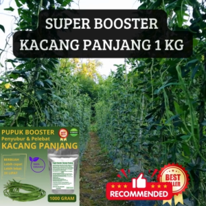 Pupuk organik booster perangsang pelebat Buah Kacang Panjang agar cepat berbuah tidak mudah rontok