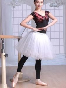 Adult Ballet Dance Short Skirt Puffy Skirt Swan Lake Dance Costume White Half-length Tulle Skirt Ballet Performance Outfit