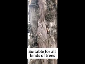 M-Mall Powerful rotten tree roots Racun rumput sambau mati akar Kuat Weed killer power 500g Trees bamboo weeds 强效灭树粉