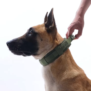 Maiyilai ปลอกคอหมาใหญ่ ปลอกคอ สัตว์เลี้ยง สุนัข ยุทธวิธี ปรับได้ ทนทานแข็งแรง ปรับและทนทานสายคล้องค เหมาะสำหรับสุนัขขนาดกลางและขนาดใหญ่