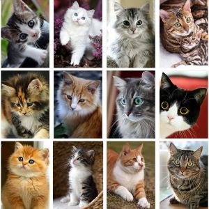 BILIBILI | Full Diamond Painting "Animal Cat" Resin Drill Embroidery 5D Diy Diamond Painting Handmade Cross Stitch Gift